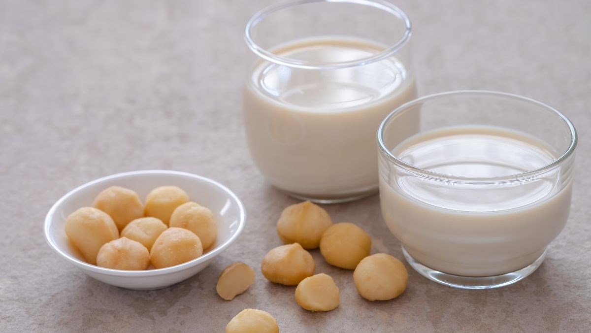 Làm sữa từ hạt mắc ca